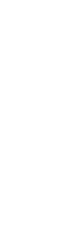普段着として着られるきもののご提案